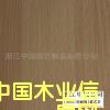 ľ�y��,������,���Ἀ��Ԕ����B
