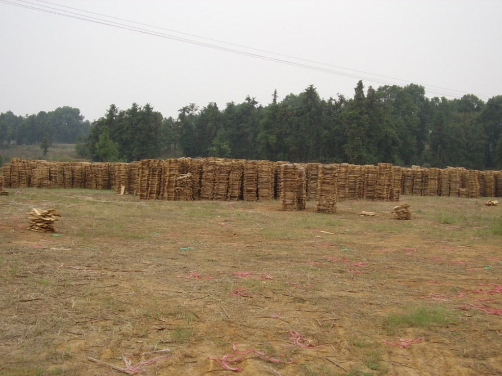 ָ�Ӱ��Ԕ����B