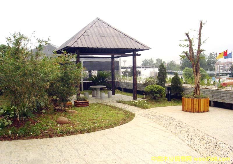 ̿��ľ��Ԕ����B