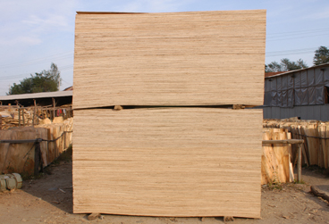 ���Ӱ��Ԕ����B