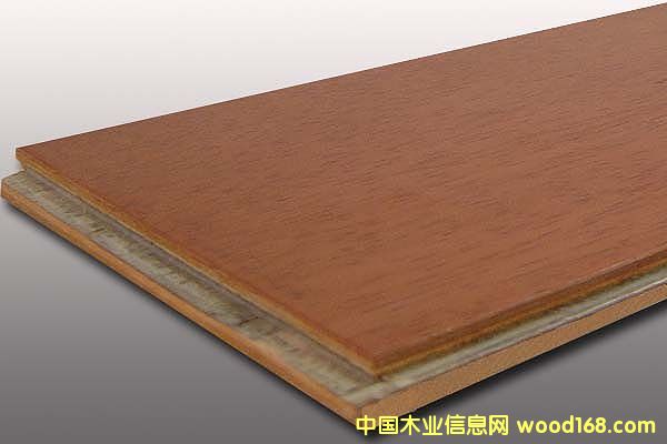 �հ���wƤ������ӌ�ľ�ͺ�ľ�ذ��Ԕ����B