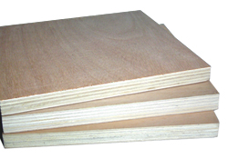 �ߙn��ˮ����ģ���Ԕ����B