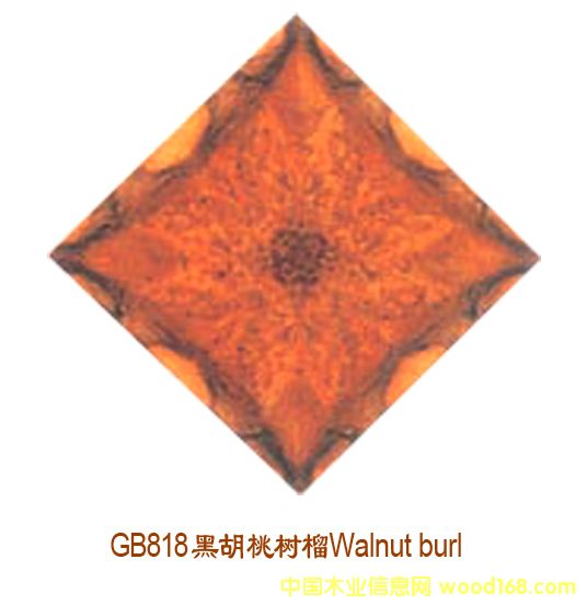 �ں��Ҙ����Ԕ����B