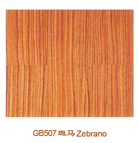 GB507 ���R