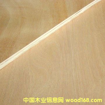 �c(di��n)���鿴���ǹ��z�ϰ�Ŵ�DƬ