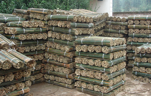 �����Ԕ����B