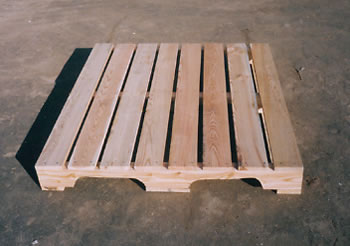 ���������ڿմ�����ľ�бP��Ԕ����B