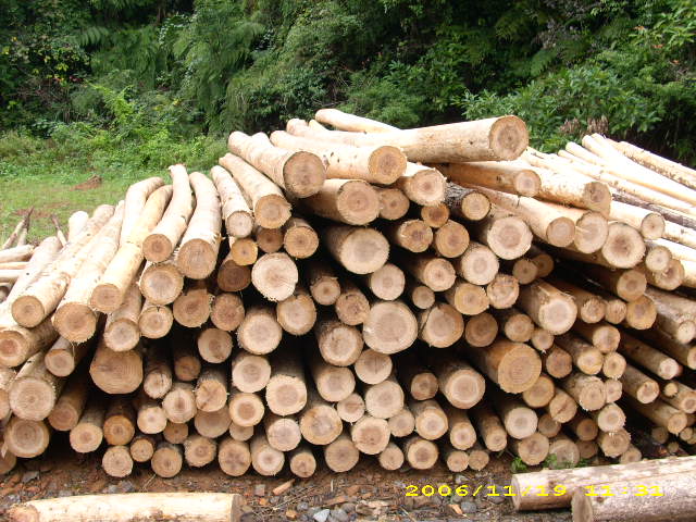 ԭɼ��ľ��Ԕ����B