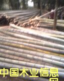 ����Ԕ����B