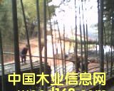 �b�\��Ԕ����B