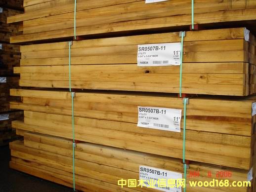 �Fɼ��Ԕ����B