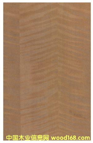 �tӰľƤ��Ԕ����B