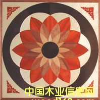 NSF-F6-Hua009