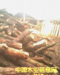 ԭ���ϵ�Ԕ����B