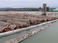 ��ڏ�������ԭľ��Ԕ����B