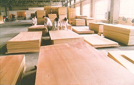 ���Ӱ��Ԕ����B