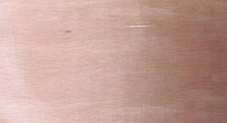 ��ľ���Ԕ����B