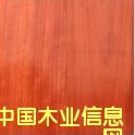 �Ͱ����Ԕ����B