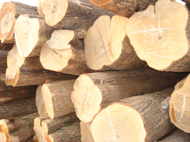 ��ľ����ľԭľ��Ԕ��(x��)��B