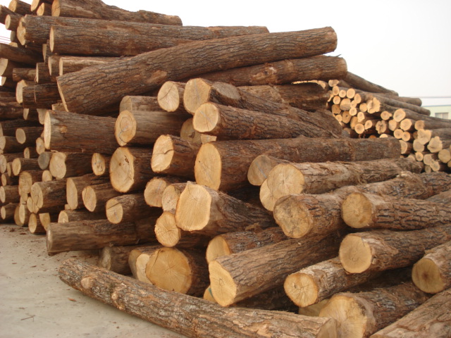 ԭľ��Ԕ��(x��)��B