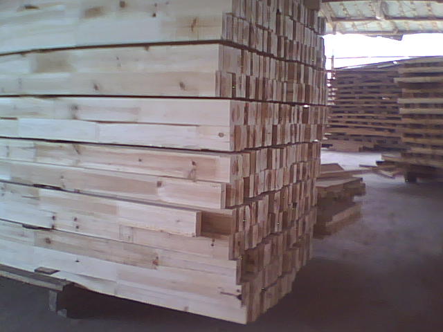 ɼľָ�Ӱ��Ԕ����B