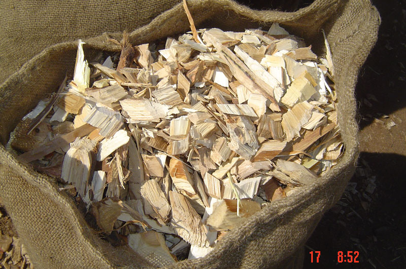 �����sľľƬ��Ԕ����B