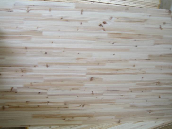 ����ɼľָ�ӵ�Ԕ����B