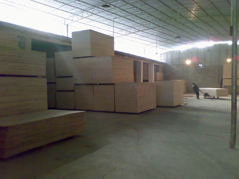 ȫɼľ��ľ�����Ԕ����B