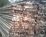 ��ܰ��Ԕ��(x��)��B