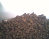 ��ľ��Ԕ��(x��)��B