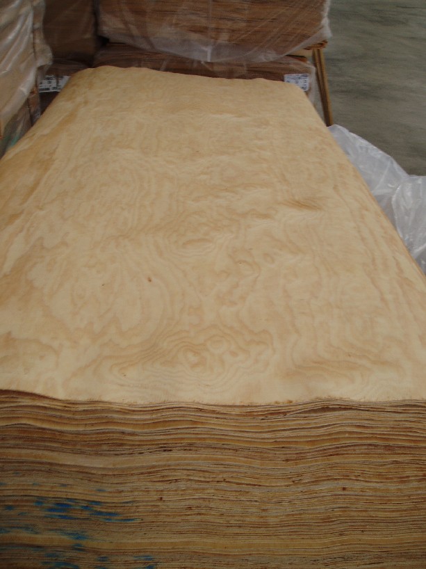 ݗ���Ɇΰ��Ԕ��(x��)��B