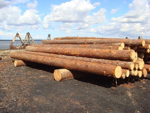 ���~��ԭľ��Ԕ����B