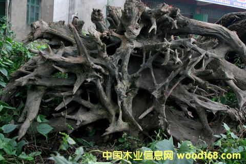 ꎳ�ľ-5��Ԕ����B