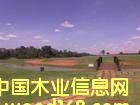 ��ľ �а�Ƥ��о��Ƥ����Ԕ����B