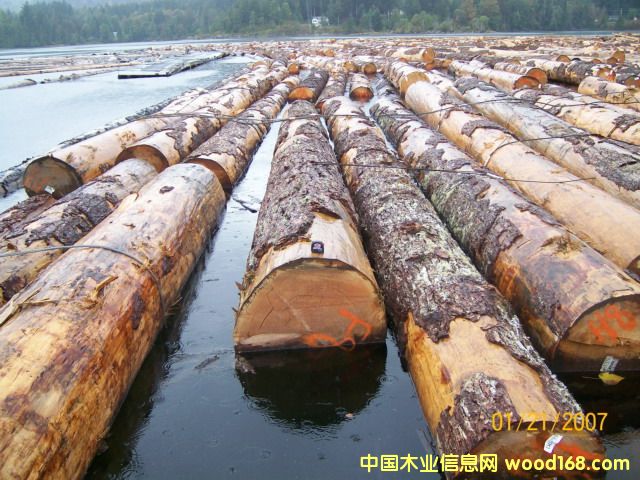 �Fɼ�DƬ��Ԕ����B