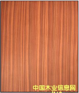 ɯ������Ԕ����B