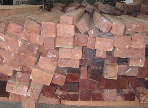 �����t̴���Ԕ��(x��)��B