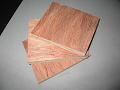 bintangoo face/back,poplar ply��Ԕ����B