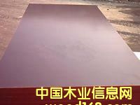 �c���鿴brown film face plywood�Ŵ�DƬ