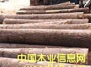 5��Ԕ����B