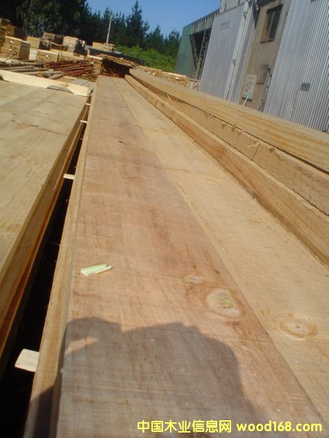 �c(di��n)���鿴chile radiata pine edged rough�Ŵ�DƬ
