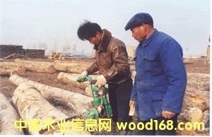 �c���鿴�F���Ŵ�DƬ
