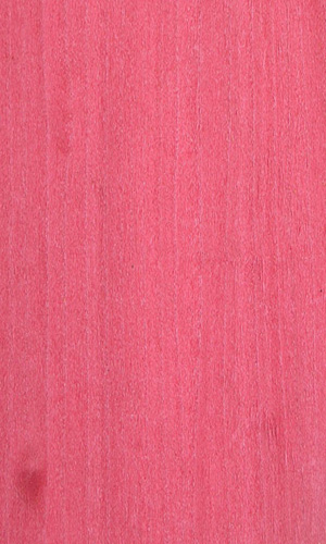 �tõ���Ԕ����B