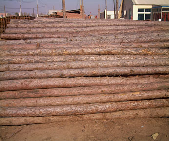 ľ��(�_�ְ�)��Ԕ��(x��)��B