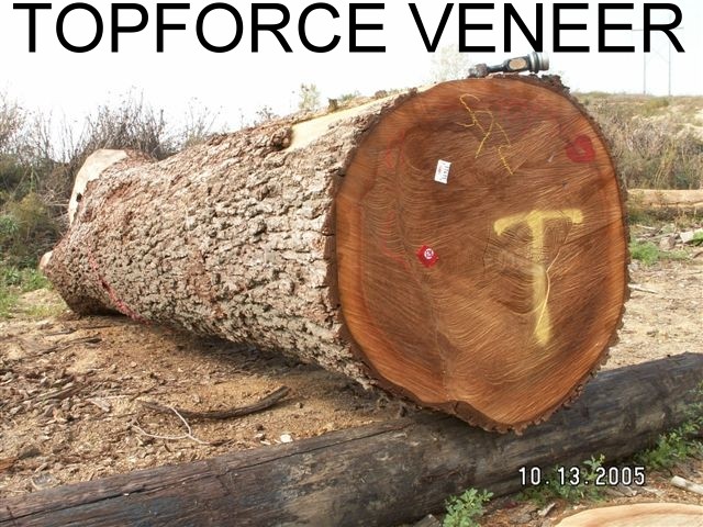 �����ں������м�(j��)ԭľ(����)��Ԕ��(x��)��B