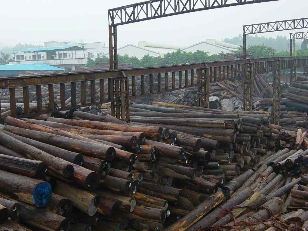 ���޼t��ԭľ��Ԕ����B