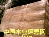 2.5*1.28*1.8MM��Ԕ��(x��)��B