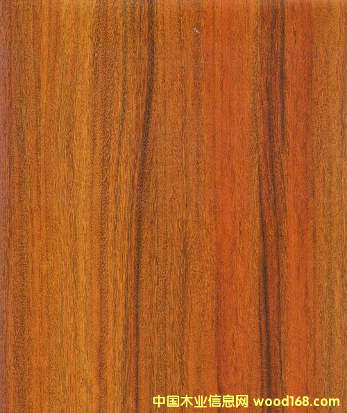 M665��Ԕ��(x��)��B