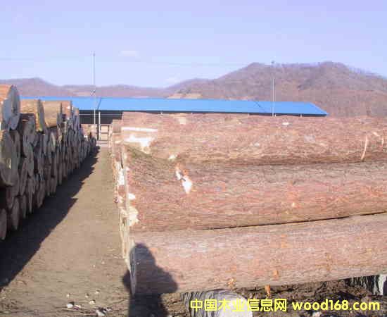 ��ľ����ľ���ľ��Ԕ����B