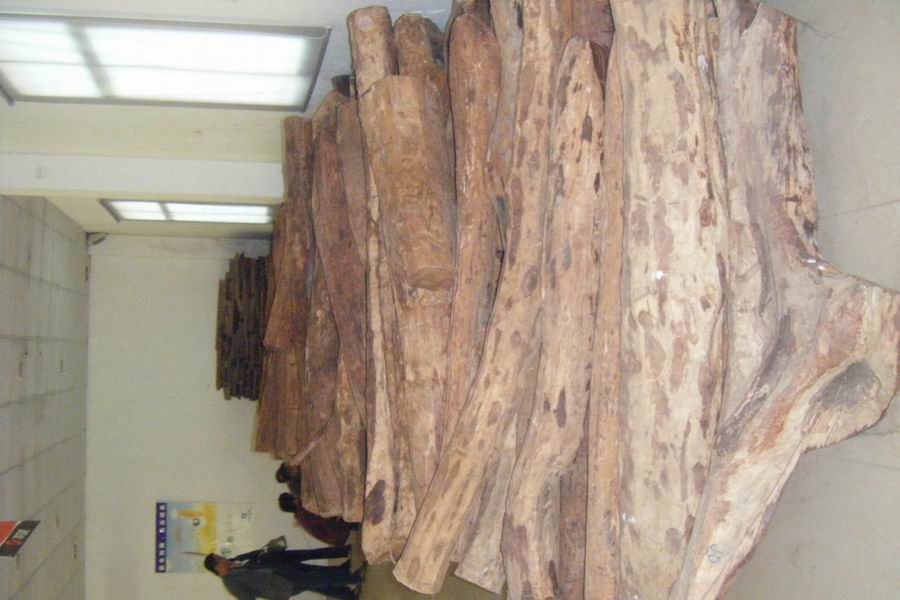 Խ���S����ľ��Ԕ����B